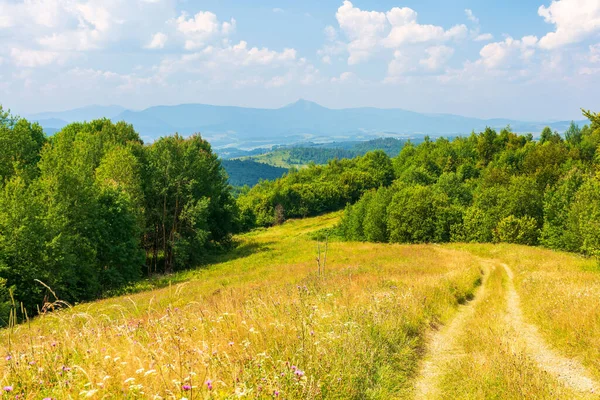 Krásná Krajina Transcarpathia Slunečné Odpoledne Malebná Letní Krajina Horách Travnaté — Stock fotografie