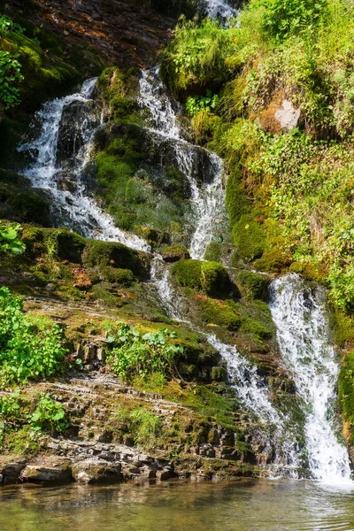 Ormandaki küçük şelale deresi. Yazın ferahlatıcı bir manzara. Güzel doğa geçmişi. Nehir havuzunun berrak sularındaki yansıma