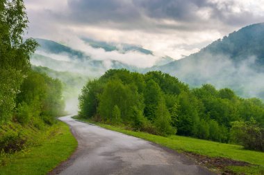 Dağlardaki kırsal yol. Sisli bir sabahta güzel bir doğa manzarası. Vadinin yukarısındaki çayırdaki ağaçlar bulutlu bir gökyüzünün altında.