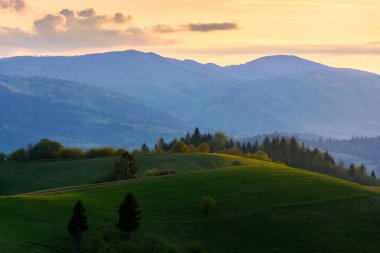 Alacakaranlıkta Karpatlar 'ın dağ manzarası. Akşam ışığında cennet gibi bir manzara var. Çimenli tepelerdeki ağaçlar ve çayırlar Borzhava sırtı eteğindeki uzak kırsal vadiye doğru yuvarlanıyor.