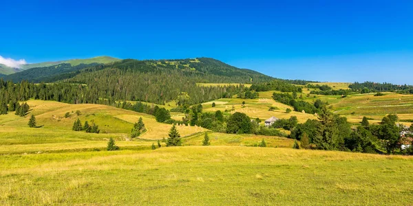 夏の朝山の中の田園風景 晴れた日には森に囲まれた丘陵や緑の草原が広がる素晴らしい自然景観 — ストック写真