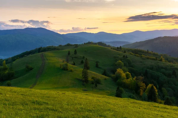 Paisagem Montanhosa Dos Cárpatos Entardecer Paisagem Natureza Idílica Luz Noite — Fotografia de Stock