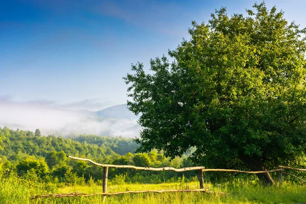 Tree Fence Rural Field Beautiful Morning Landscape Mountains Sunny Summer — 图库照片