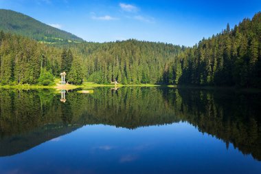 synevyr lake in summer. forest reflection in the water. beautiful travel background. green nature scene