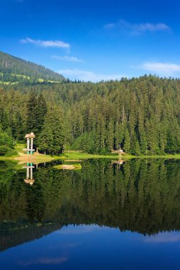 Yazın sakin göl manzarası. Sudaki orman yansıması. Synevyr, Ukrayna 'nın güzel seyahat geçmişi. Sakin doğa sahnesi. yeşil açık hava ortamı