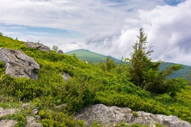 Ağaçlar ve kayalar yeşil otlak bir çayırda. Dağlardaki güzel yaz manzarası. Gökyüzünde bulutlar olan güneşli bir hava