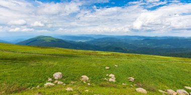beautiful view of green mountain landscape. sunny outdoor nature scenery in summer. stones on the grassy hill. clouds above ridge on horizon in the distance