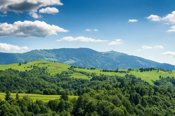 Hornatá Venkovská Krajina Létě Krajina Travnatými Poli Zalesněnými Kopci Krásný — Stock fotografie