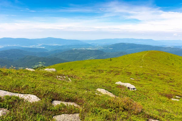 Horská Krajina Hřebeni Borzhava Létě Krásná Scenérie Zelené Karpatské Přírody — Stock fotografie