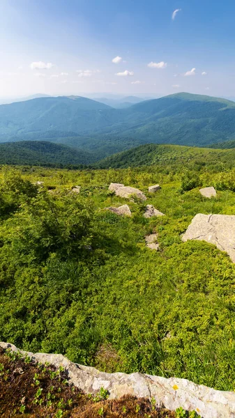 Beautiful Mountain Landscape Summer Stones Rocks High Alpine Meadow Beautiful — Stock Photo, Image