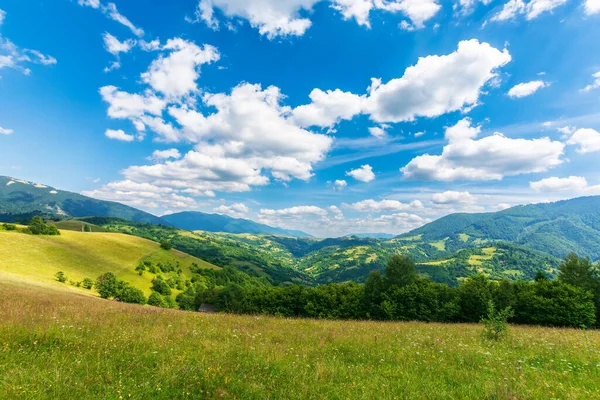 夏の草の山の牧草地 ふわふわの雲が広がる晴れた日の美しい田園風景 丘の上の木 — ストック写真