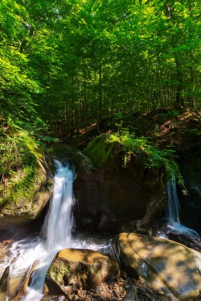 瀑布落在森林的岩石中 阳光明媚的夏天美丽的自然风光 — 图库照片