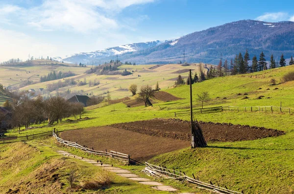 Paysage Rural Avec Des Champs Cultures Arables Printemps Belle Matinée — Photo