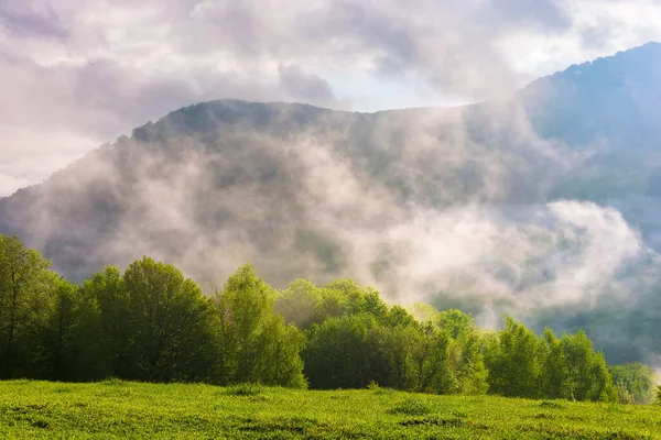 Zelená Horská Krajina Nádherné Počasí Mlhou Stoupající Nad Vzdálené Údolí — Stock fotografie