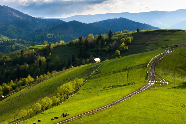 Mountainous Rural Landscape Springtime Wooden Fence Path Rolling Hills Wonderful — Stockfoto