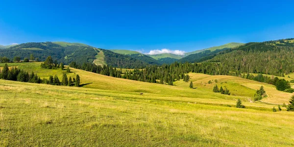 Paisaje Rural Las Montañas Una Mañana Verano Maravilloso Paisaje Natural — Foto de Stock