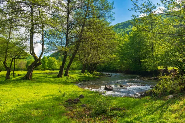 Źródło Rzeki Turiya Wiosną Piękny Krajobraz Przyrody Dolinie Krajobrazy Wiejskie — Zdjęcie stockowe