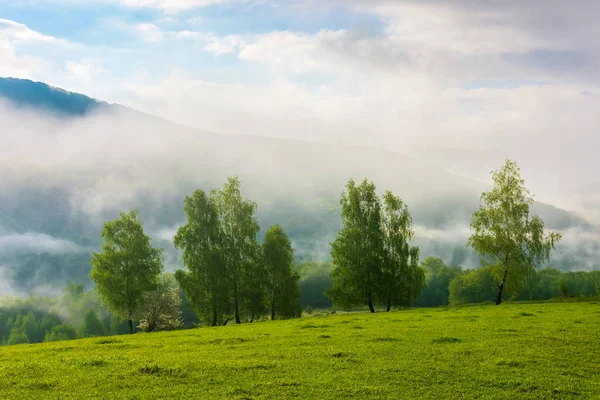 霧の多い日の出の山岳地帯です 緑豊かな丘の上に落葉樹が生い茂る春の大自然 雲の多い空の下の丘陵や谷の上の霧 — ストック写真