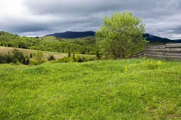Rural Landscape Cloudy Springtime Day Beautiful Countryside Nature Scenery Carpathian — Stock Photo, Image