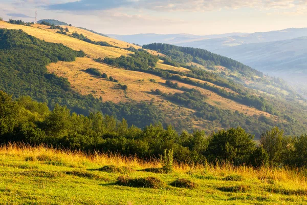 晨光下 山上青草丛生的牧场 日出时分喀尔巴阡山脉美丽的乡村风景 远处山脊山脚下的乡村山谷 — 图库照片