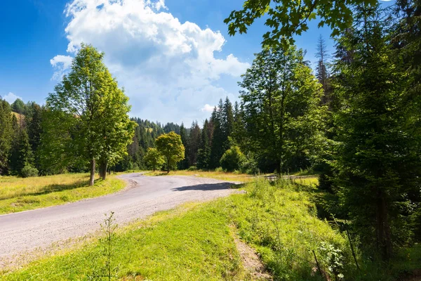 Landstraße Durch Bewaldete Landschaft Schöne Sommerliche Berglandschaft Einem Sonnigen Tag — Stockfoto