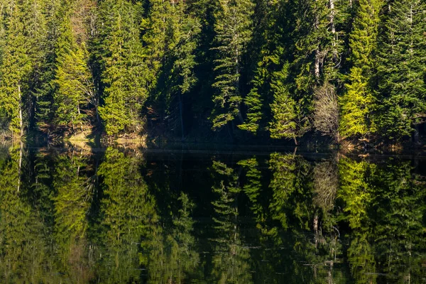 Paisagem Com Lago Verão Reflexão Água Fundo Bela Natureza Ambiente — Fotografia de Stock
