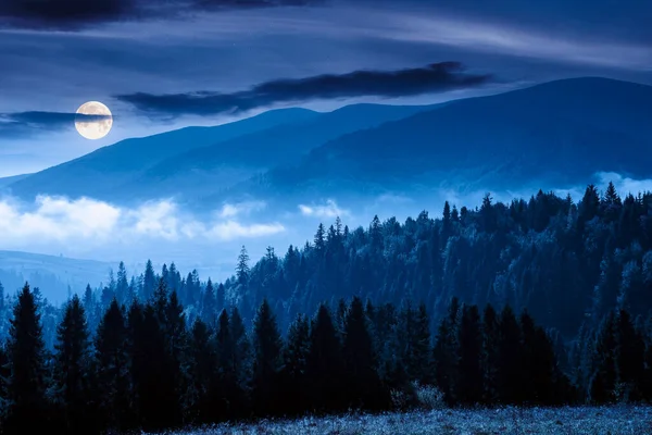 Floresta Coníferas Colina Noite Natureza Cenário Nebuloso Luz Lua Cheia — Fotografia de Stock