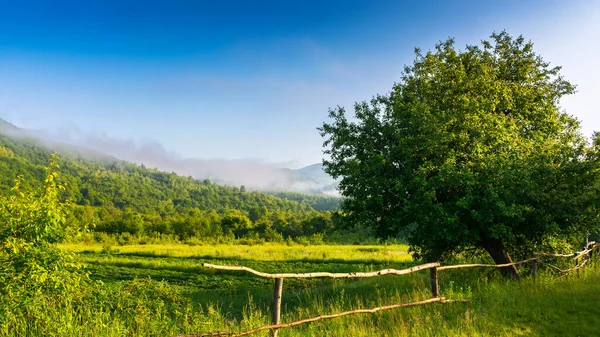 Albero Dietro Recinzione Sul Campo Rurale Bellissimo Paesaggio Mattutino Montagna — Foto Stock