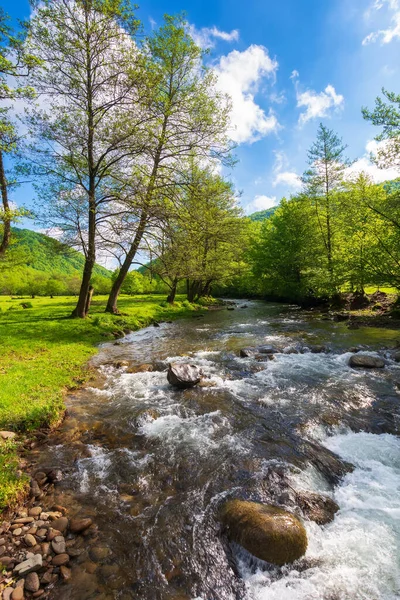 Река Протекает Через Зеленую Долину Вода Течет Вдоль Берега Деревьями — стоковое фото