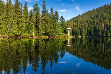 Yaz mevsiminde sakin gölü olan manzaralı bir yer. Sudaki orman yansıması. Synevyr, Ukrayna 'nın güzel seyahat geçmişi. Sakin doğa sahnesi. yeşil açık hava görünümü