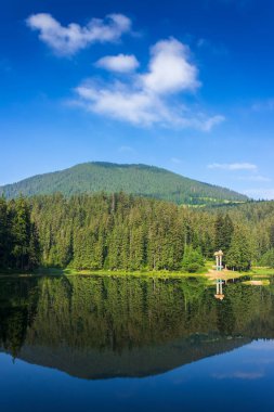 Göl manzarası. Sudaki orman yansıması. Synevyr Ulusal Parkı, Ukrayna 'nın güzel geçmişi. Yaz seyahati sezonunda sakin doğa sahnesi. yeşil açık hava ortamı