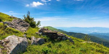 Ağaçlar ve kayalar yeşil otlak bir çayırda. Dağlardaki güzel yaz manzarası. Gökyüzünde bulutlar olan güneşli bir hava