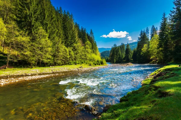 Горная Река Весной Быстрая Вода Течет Через Лесную Долину Красивые — стоковое фото