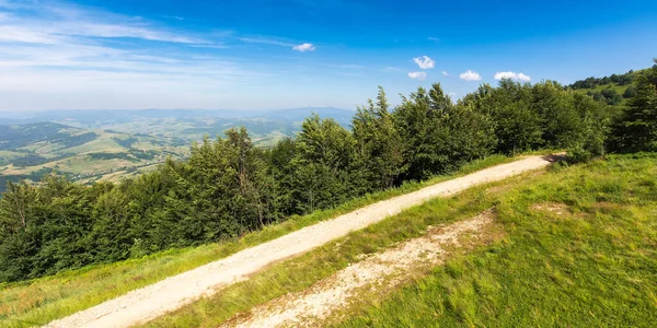 Forested Hills Carpathian Mountains Beautiful Nature Scenery Afternoon Light Panoramic — Stock Photo, Image