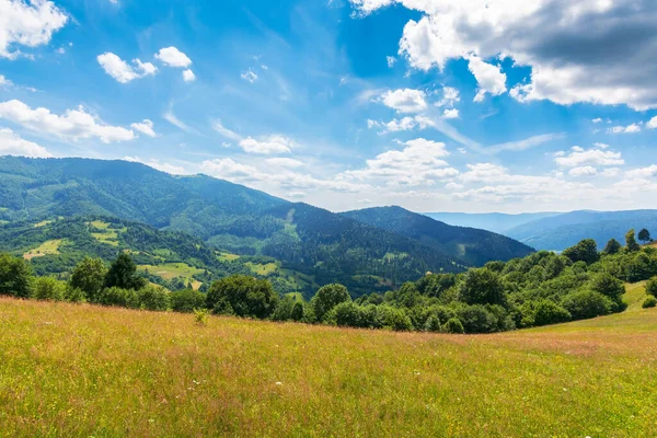 夏天的草地上长满了青草 美丽的乡村风景 阳光灿烂 乌云密布 山上的树 — 图库照片