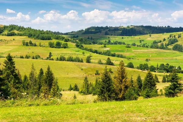 多山的乡村风景在阳光灿烂的日子里 长满青草的山上的树木和田野 晴朗的夏日 天空中乌云密布 — 图库照片
