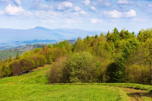 早春的山地乡村 草甸草甸草地上的树木 远端山脊 天上的云彩 喀尔巴阡山的美丽本性 — 图库照片