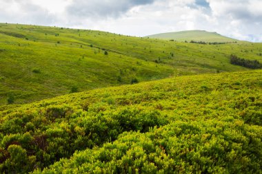 Dağ saunasının yeşil tepeleri. Karpat Dağları 'nın güzel doğa manzarası. bulutlu yaz havası