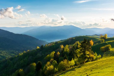 Karpatya kırsal arazisi ilkbaharda gün batımında. Çimenli tepelerdeki ağaçlar akşam ışığında uzak tepelere doğru yuvarlanıyor. Gökyüzünde dinamik bulut oluşumları. güzel doğa arkaplanı