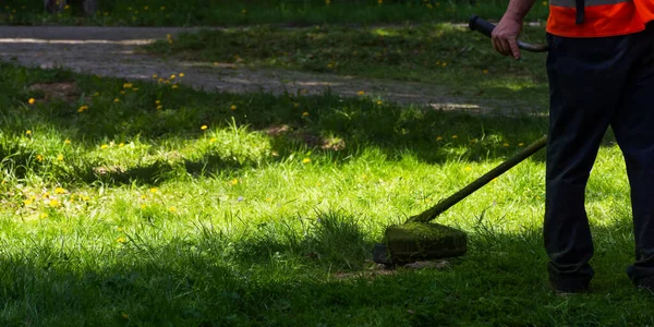 庭の手入れ 機器で切り取った緑の草 屋外の仕事に適切なツールを使用してください 夏の裏庭のケア — ストック写真