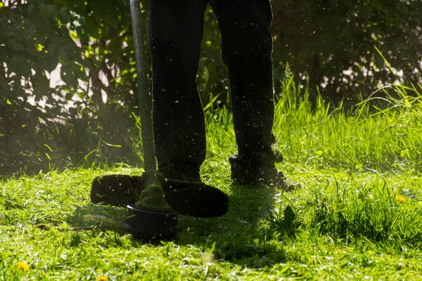 Gräsmatta Trimning Med Trädgårdsutrustning Bakgård Grönt Gräs Underhåll Våren — Stockfoto