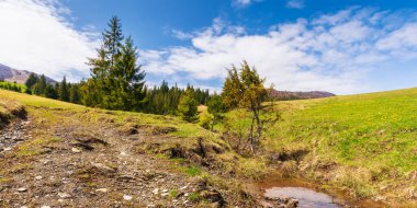 Yeşil çayırları ve ormanı olan Karpatya manzarası. Kırsal yol yuvarlanan tepelerden geçiyor. Borzhava sırtının tepeleri karla kaplı. Güneşli bir baharda güzel bir kır manzarası