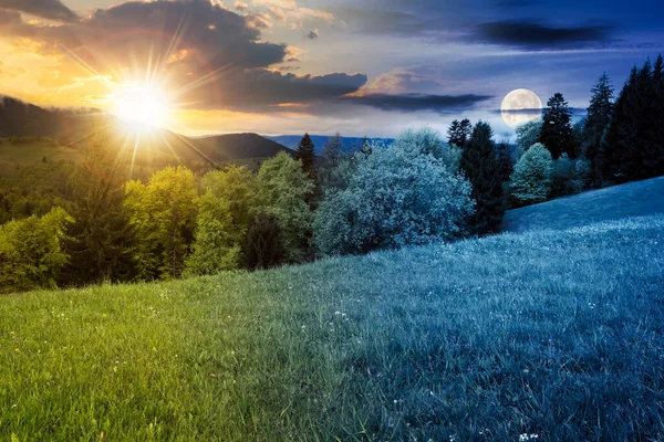 Dag Och Natt Förändras Karpaterna Vacker Natur Våren Landskap Med — Stockfoto