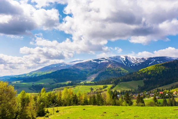 Idylická Krajina Karpatských Horách Čerstvé Zelené Louky Stromy Kopcích Zasněžené — Stock fotografie