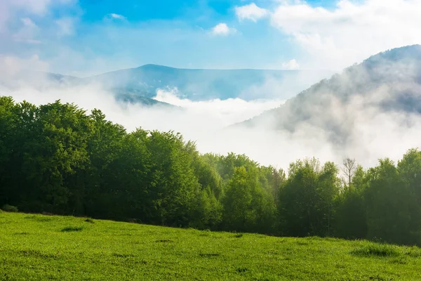 山の緑と青の風景 丘の上に草の牧草地や森 谷の霧と空の雲 平和的な晴れた日の朝に — ストック写真