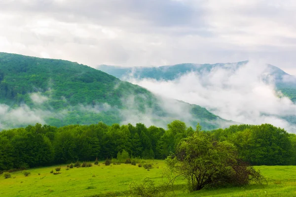 Grönt Och Blått Landskap Bergen Gräsbevuxen Äng Och Skog Kullen — Stockfoto