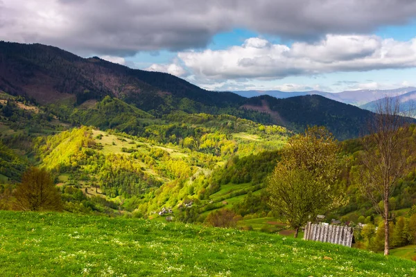 Zelená Karpatská Krajina Jaře Krásná Horská Krajina Venkovským Údolím Vesnicí — Stock fotografie