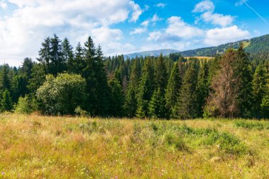 Dağlardaki kırsal yaz manzarası. Orman tepeleri ve otlak tepeleri olan güzel doğa manzarası. Öğlen vakti mavi gökyüzünün altında yeşil bir açık hava ortamı