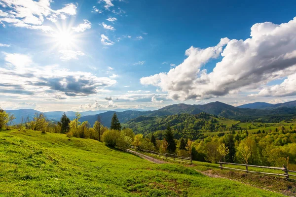 喀尔巴阡山脉的乡村风景 春天阳光灿烂的下午 美丽的绿色风景 长满青草的山丘上的树和天空中蓬松的云彩 — 图库照片