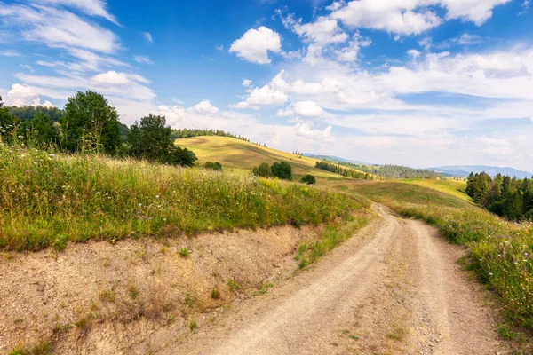 Landelijke Weg Door Grazige Weiden Prachtig Landschap Met Glooiende Heuvels — Stockfoto